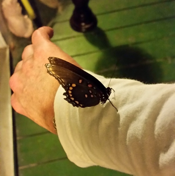 Meet your Posher, Mary - Picture 7 of 16